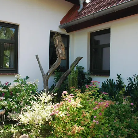 Apartamento Geraeumige In Dargun Mit Pool, Cleaning Included *