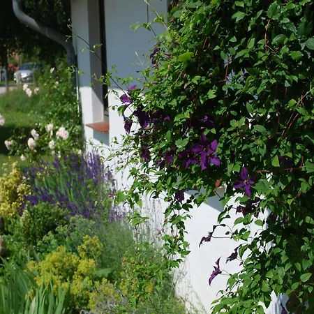 Geraeumige In Dargun Mit Pool, Cleaning Included Apartamento